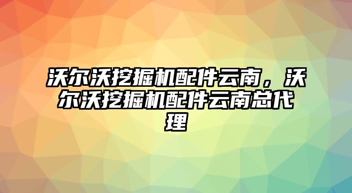 沃爾沃挖掘機(jī)配件云南，沃爾沃挖掘機(jī)配件云南總代理