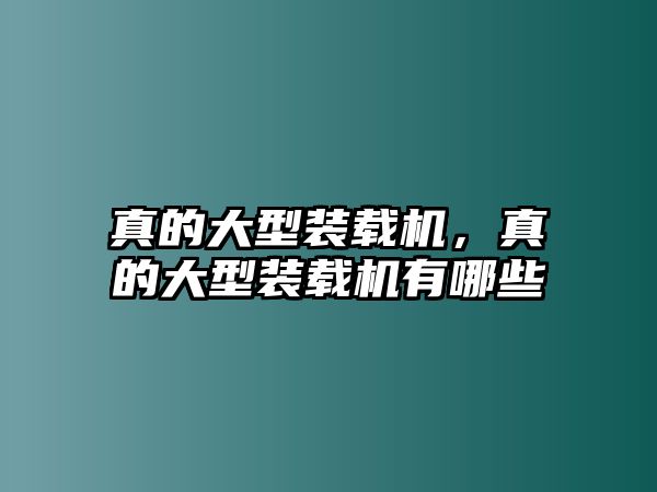 真的大型裝載機，真的大型裝載機有哪些