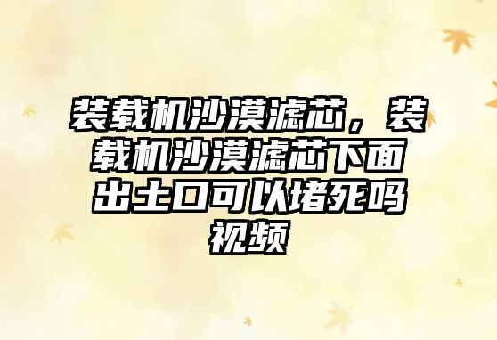 裝載機沙漠濾芯，裝載機沙漠濾芯下面出土口可以堵死嗎視頻