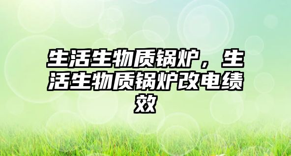 生活生物質(zhì)鍋爐，生活生物質(zhì)鍋爐改電績(jī)效