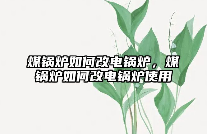 煤鍋爐如何改電鍋爐，煤鍋爐如何改電鍋爐使用