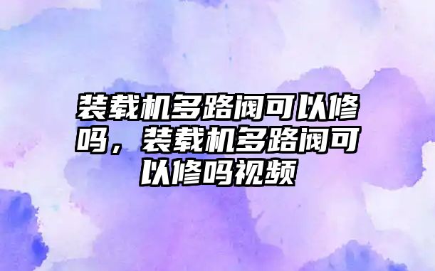 裝載機多路閥可以修嗎，裝載機多路閥可以修嗎視頻