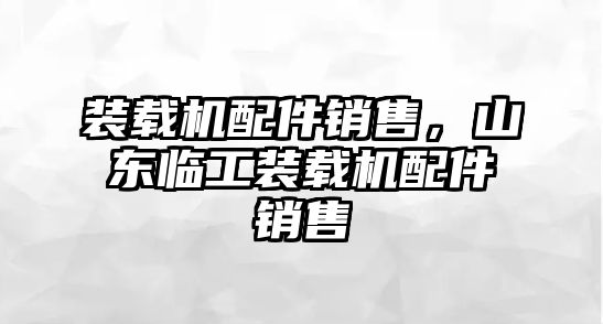 裝載機(jī)配件銷售，山東臨工裝載機(jī)配件銷售