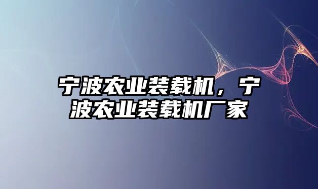 寧波農業(yè)裝載機，寧波農業(yè)裝載機廠家