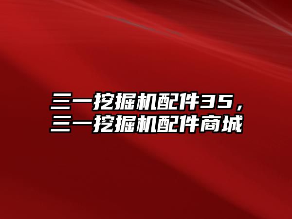 三一挖掘機(jī)配件35，三一挖掘機(jī)配件商城