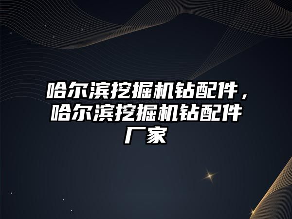 哈爾濱挖掘機鉆配件，哈爾濱挖掘機鉆配件廠家