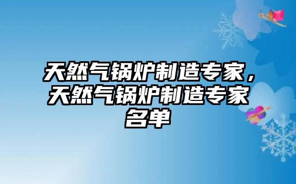 天然氣鍋爐制造專家，天然氣鍋爐制造專家名單