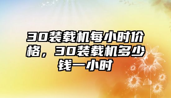 30裝載機(jī)每小時價格，30裝載機(jī)多少錢一小時