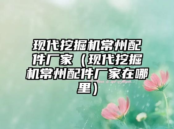 現(xiàn)代挖掘機常州配件廠家（現(xiàn)代挖掘機常州配件廠家在哪里）