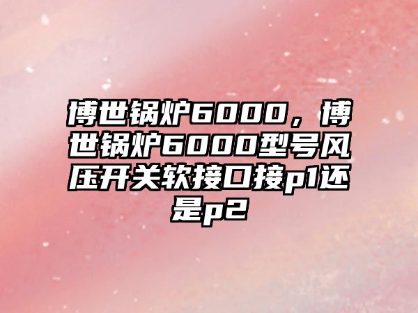 博世鍋爐6000，博世鍋爐6000型號風(fēng)壓開關(guān)軟接口接p1還是p2