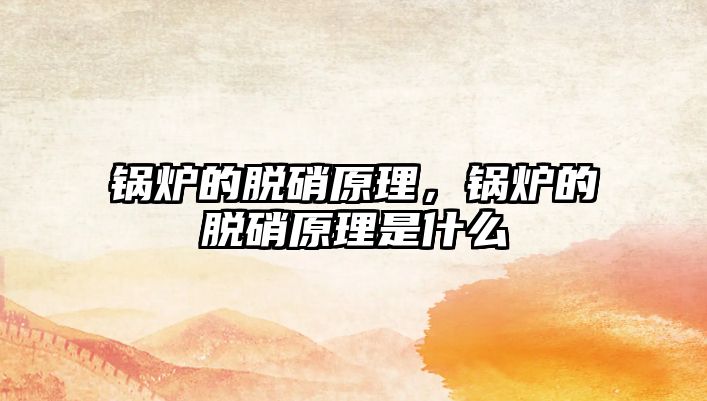 鍋爐的脫硝原理，鍋爐的脫硝原理是什么