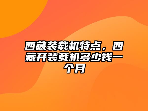 西藏裝載機特點，西藏開裝載機多少錢一個月