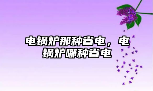 電鍋爐那種省電，電鍋爐哪種省電