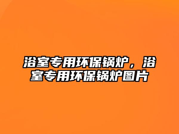 浴室專用環(huán)保鍋爐，浴室專用環(huán)保鍋爐圖片