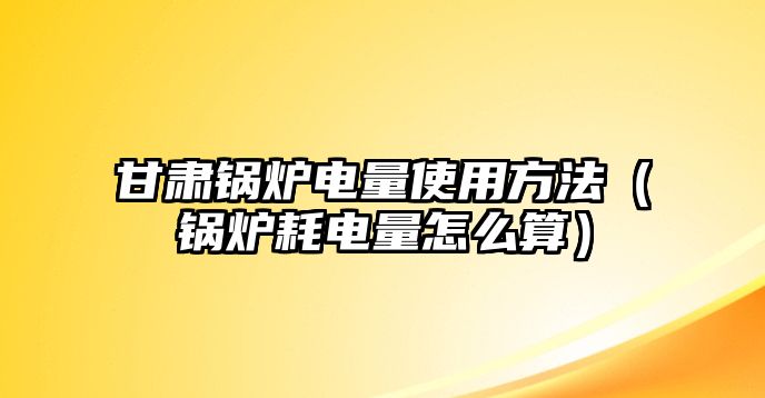 甘肅鍋爐電量使用方法（鍋爐耗電量怎么算）