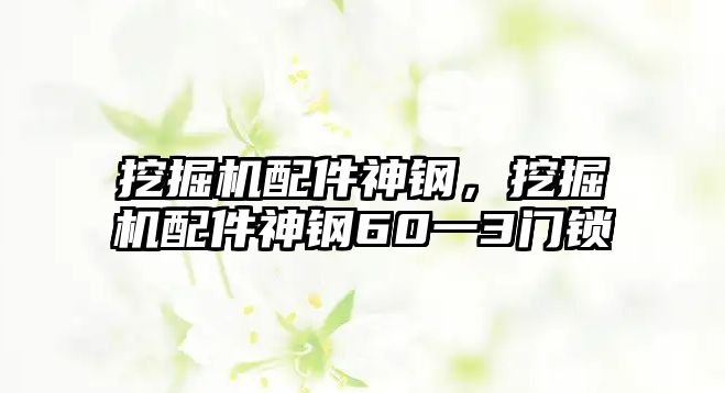 挖掘機(jī)配件神鋼，挖掘機(jī)配件神鋼60一3門鎖