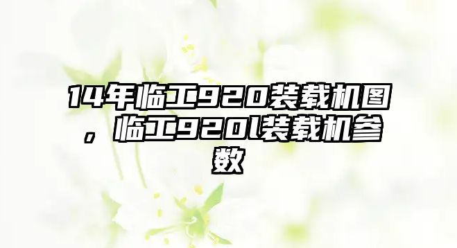 14年臨工920裝載機圖，臨工920l裝載機參數(shù)