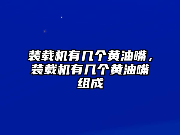 裝載機有幾個黃油嘴，裝載機有幾個黃油嘴組成