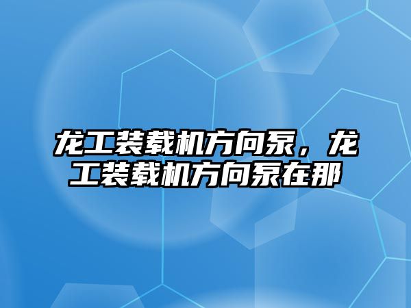 龍工裝載機方向泵，龍工裝載機方向泵在那