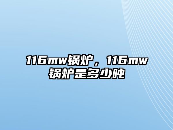 116mw鍋爐，116mw鍋爐是多少噸