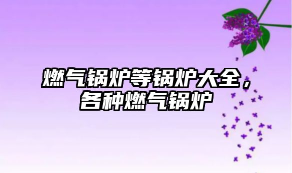 燃?xì)忮仩t等鍋爐大全，各種燃?xì)忮仩t