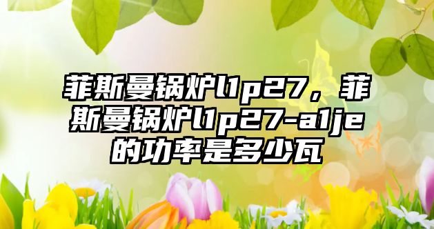 菲斯曼鍋爐l1p27，菲斯曼鍋爐l1p27-a1je的功率是多少瓦