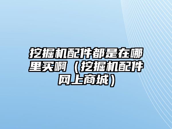 挖掘機(jī)配件都是在哪里買?。ㄍ诰驒C(jī)配件網(wǎng)上商城）