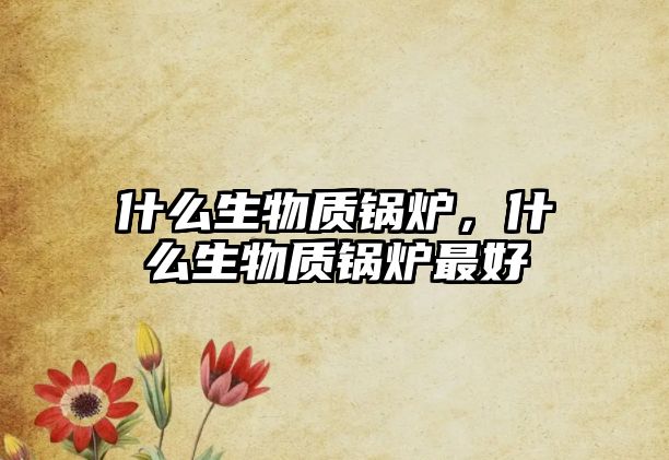 什么生物質(zhì)鍋爐，什么生物質(zhì)鍋爐最好