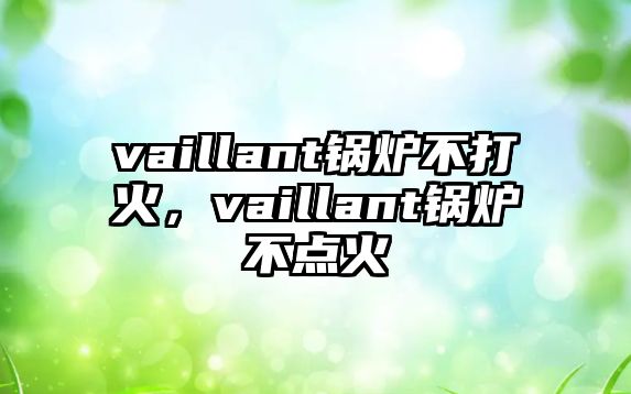 vaillant鍋爐不打火，vaillant鍋爐不點(diǎn)火