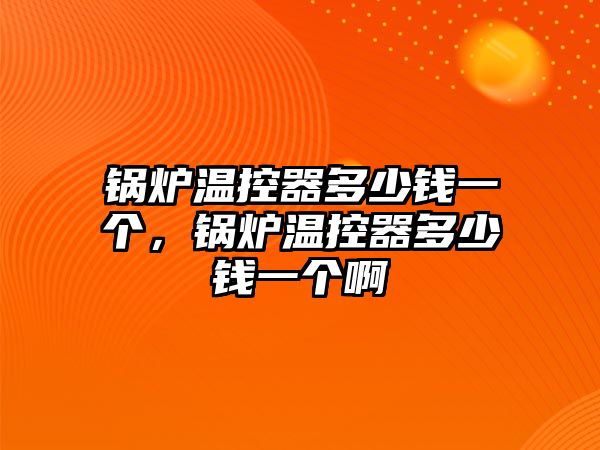 鍋爐溫控器多少錢一個(gè)，鍋爐溫控器多少錢一個(gè)啊