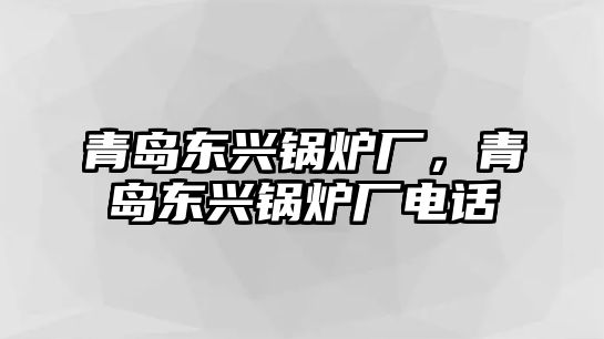 青島東興鍋爐廠，青島東興鍋爐廠電話