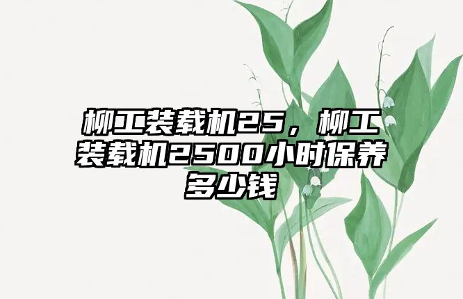 柳工裝載機(jī)25，柳工裝載機(jī)2500小時(shí)保養(yǎng)多少錢