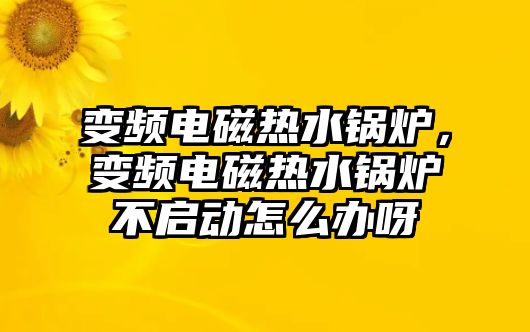 變頻電磁熱水鍋爐，變頻電磁熱水鍋爐不啟動怎么辦呀