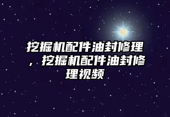 挖掘機配件油封修理，挖掘機配件油封修理視頻