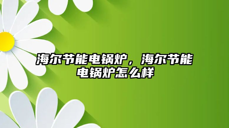 海爾節(jié)能電鍋爐，海爾節(jié)能電鍋爐怎么樣