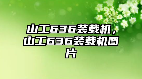 山工636裝載機(jī)，山工636裝載機(jī)圖片