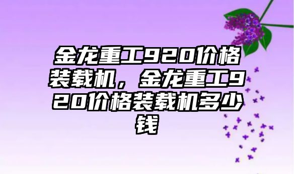 金龍重工920價(jià)格裝載機(jī)，金龍重工920價(jià)格裝載機(jī)多少錢