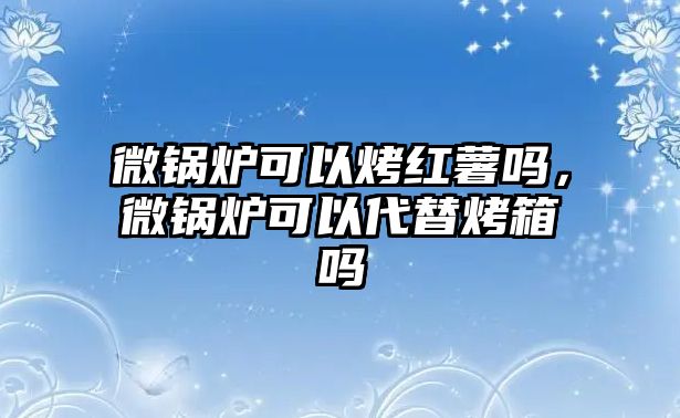 微鍋爐可以烤紅薯嗎，微鍋爐可以代替烤箱嗎