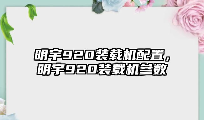 明宇920裝載機(jī)配置，明宇920裝載機(jī)參數(shù)