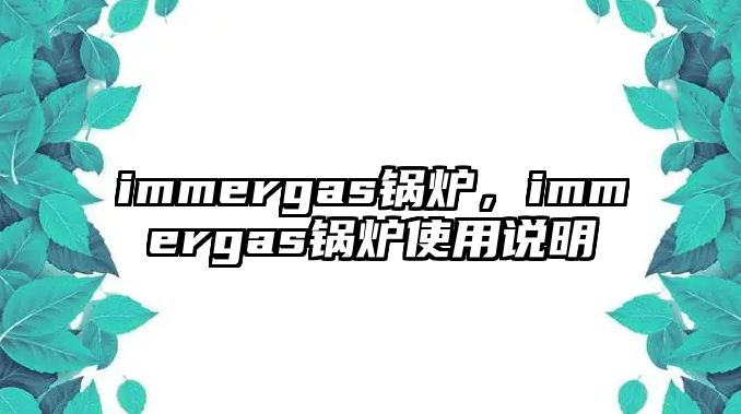 immergas鍋爐，immergas鍋爐使用說明