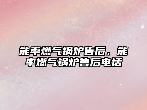 能率燃?xì)忮仩t售后，能率燃?xì)忮仩t售后電話