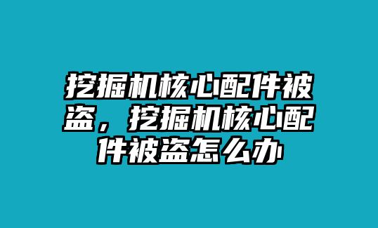 挖掘機核心配件被盜，挖掘機核心配件被盜怎么辦