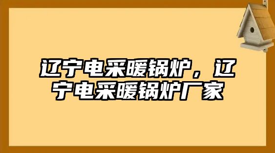 遼寧電采暖鍋爐，遼寧電采暖鍋爐廠家