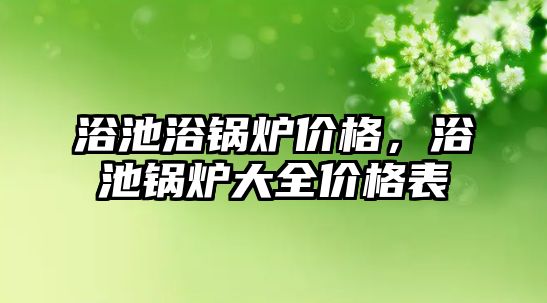 浴池浴鍋爐價格，浴池鍋爐大全價格表