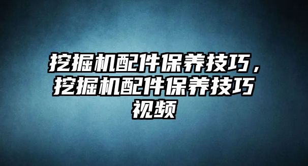 挖掘機配件保養(yǎng)技巧，挖掘機配件保養(yǎng)技巧視頻