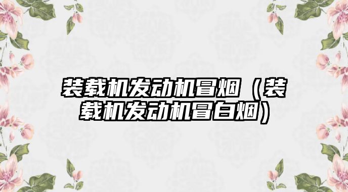 裝載機(jī)發(fā)動機(jī)冒煙（裝載機(jī)發(fā)動機(jī)冒白煙）