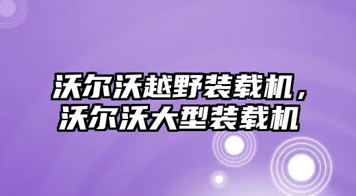 沃爾沃越野裝載機，沃爾沃大型裝載機