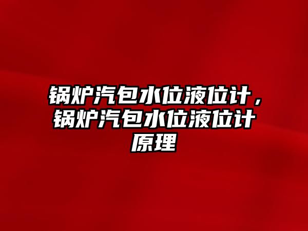 鍋爐汽包水位液位計，鍋爐汽包水位液位計原理