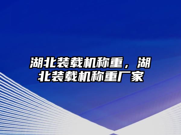 湖北裝載機(jī)稱重，湖北裝載機(jī)稱重廠家