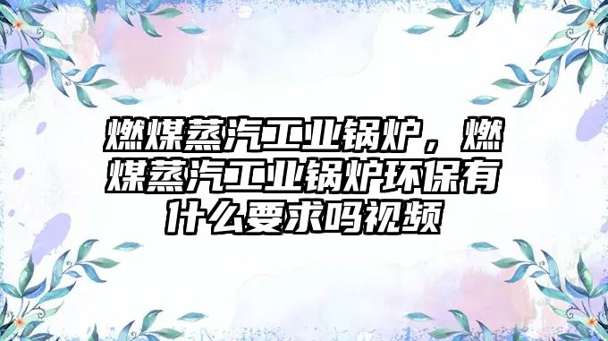 燃煤蒸汽工業(yè)鍋爐，燃煤蒸汽工業(yè)鍋爐環(huán)保有什么要求嗎視頻